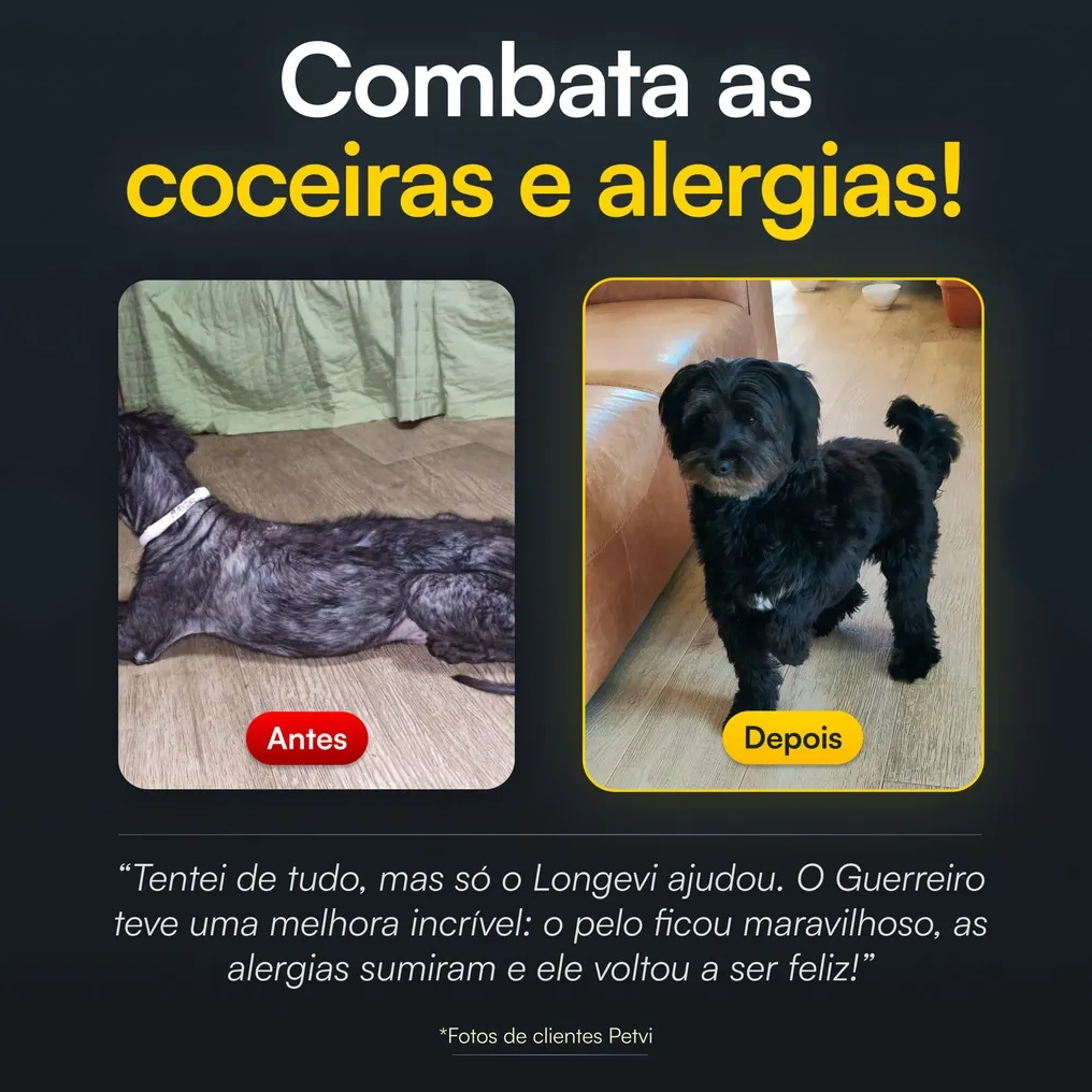 Vetor Energia Cão